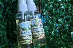 สเปรย์กันยุงจากตะไคร้