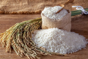 ข้าวหอมมะลิ ( 5 กก. )