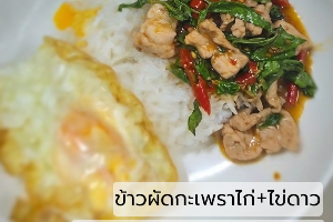ข้าวกะเพราไก่