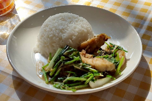 ผัดขึ้นฉ่าย