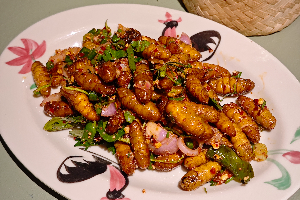 ลาบดุ๊กดิ๊ก