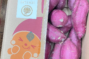มันหวาน ญี่ปุ่น  ไซส์ M,L 4.5kg
