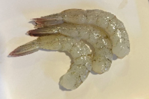 กุ้งแกะ / Shrimp 