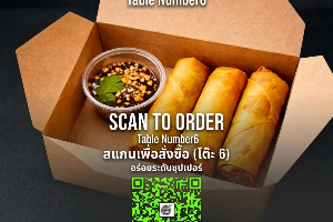Spring Rolls