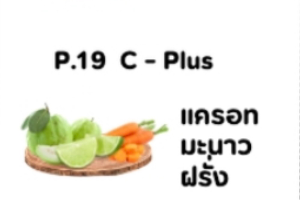 P19 C- Plus