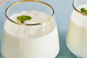 Ayran / Yoghurt Drink 
