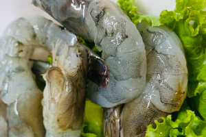 กุ้ง 虾 Prawn
