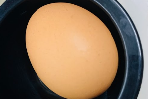 ไข่ไก่ 生鸡蛋 Egg