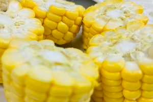 ข้าวโพด 玉米 Sweet Corn
