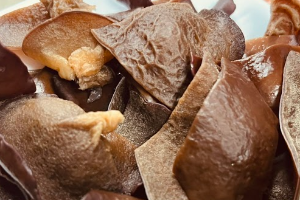 เห็ดหูหนูดำ 木耳 Black jelly Mushroom