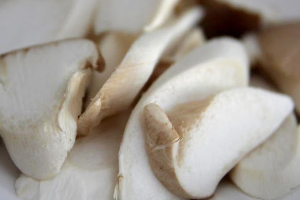 เห็ดออรินจิ 杏鲍菇 Eryngii Mushroom