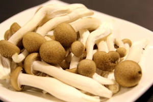 เห็ดโคนญี่ปุ่น 蟹味菇 Shimeji Mushroom