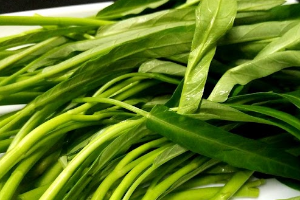 ผักบุ้ง 空心菜 Water Spinach