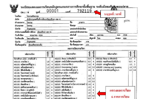 วุฒิการศึกษา ระดับประถมศึกษา (ป.6)