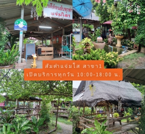 ร้านส้มตำแจ่มใสสาขา1